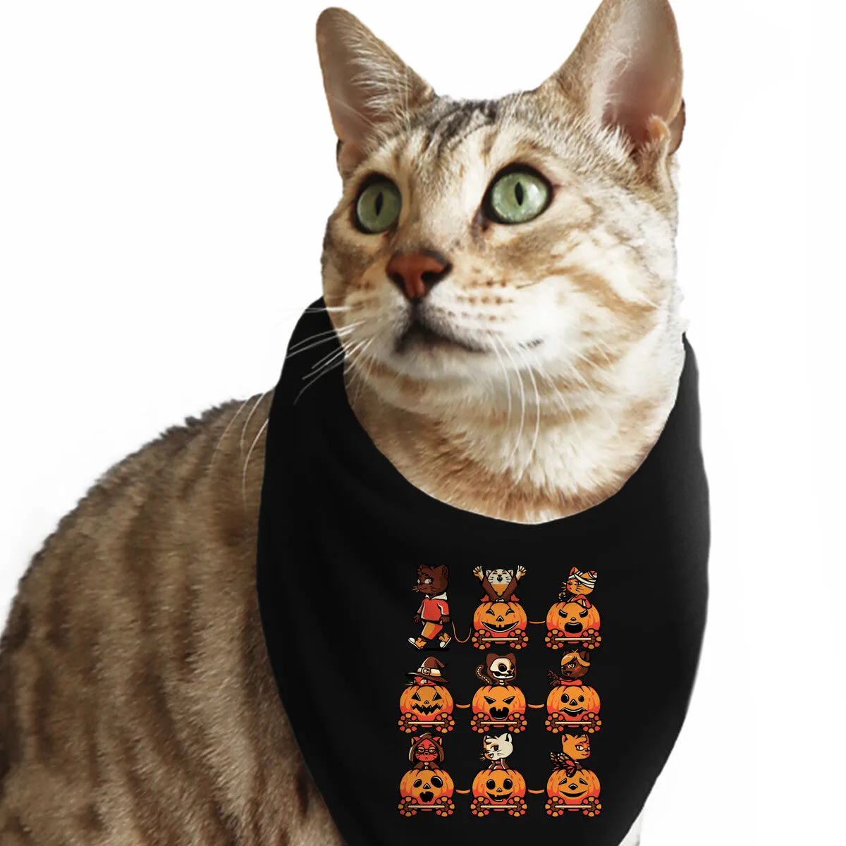 9 Lives