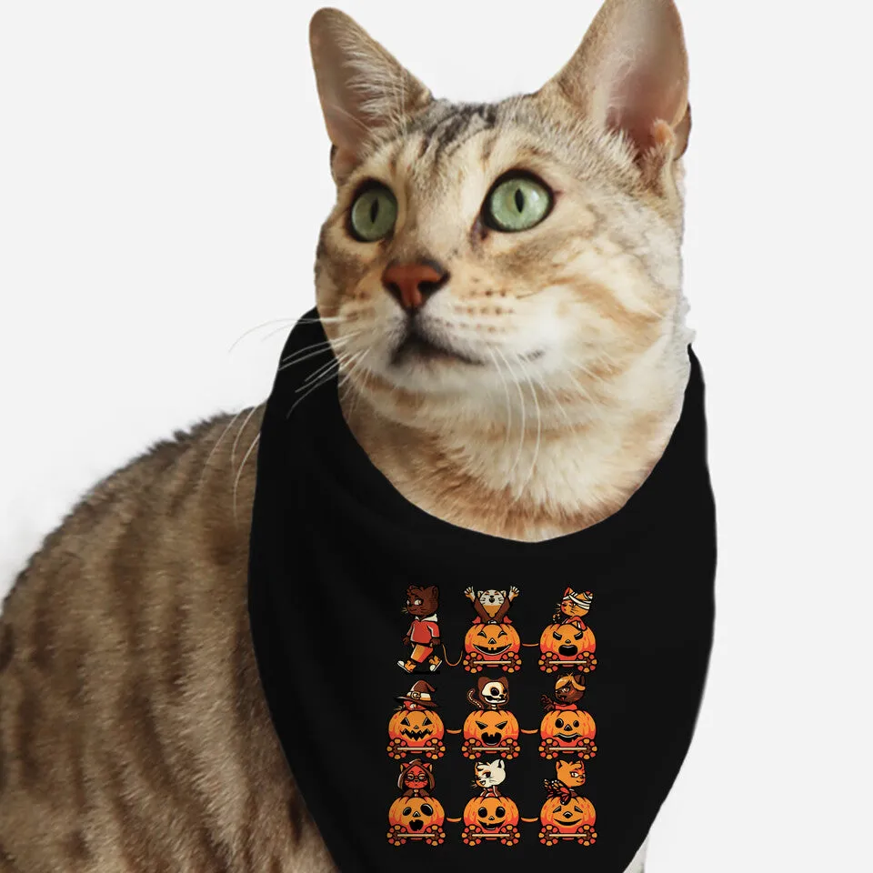 9 Lives