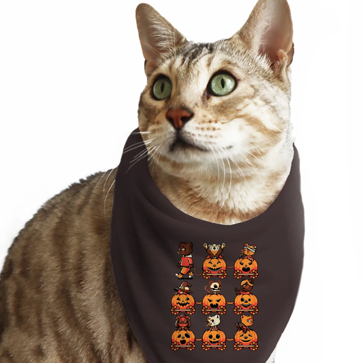 9 Lives