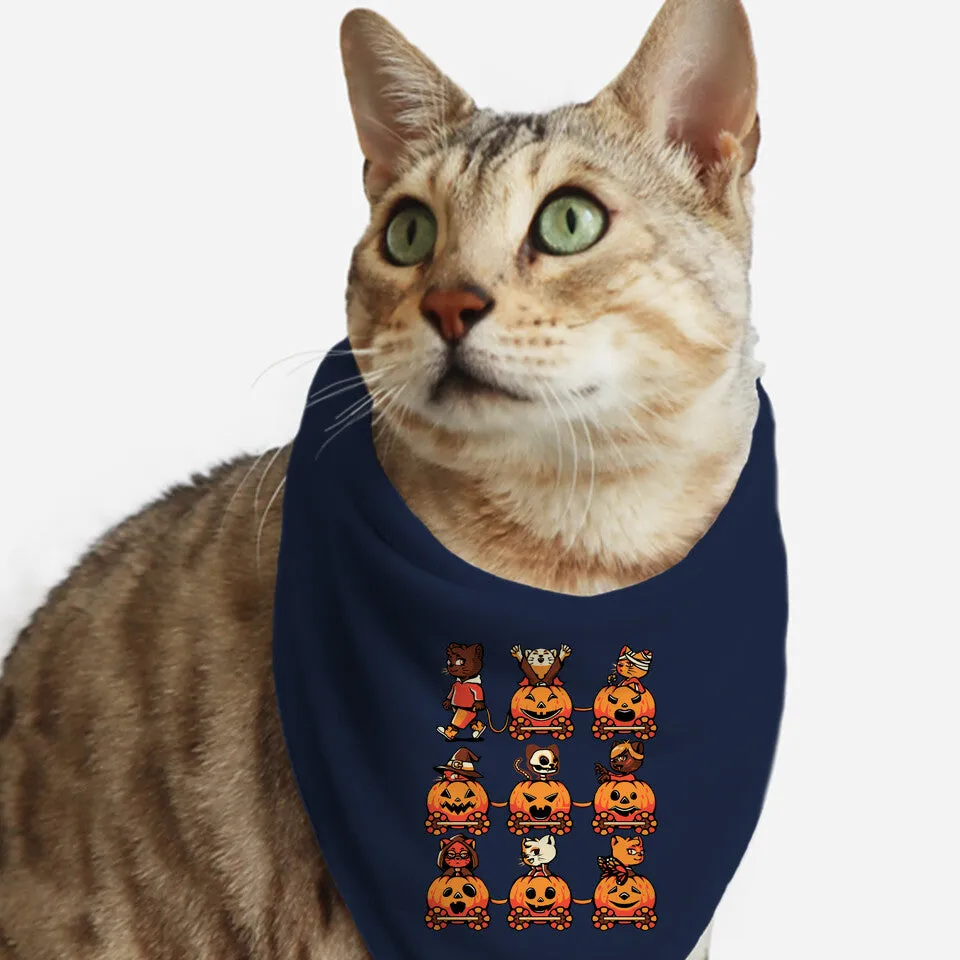 9 Lives