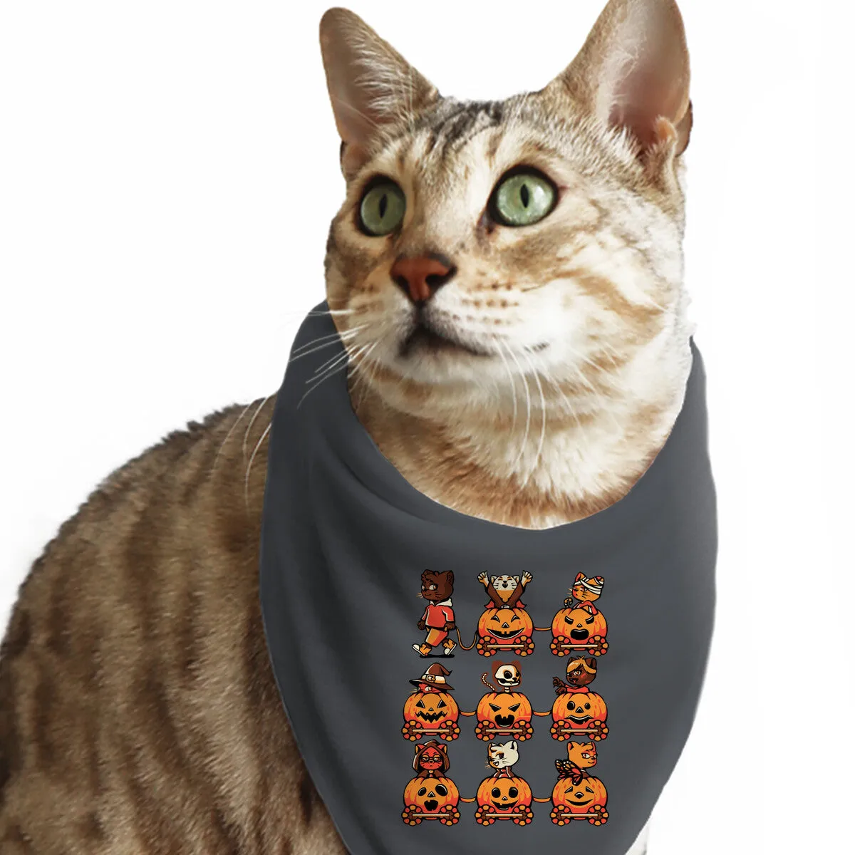9 Lives