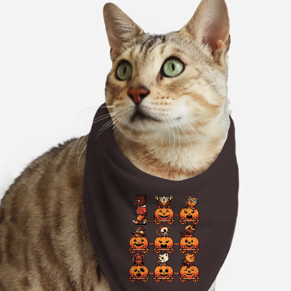9 Lives