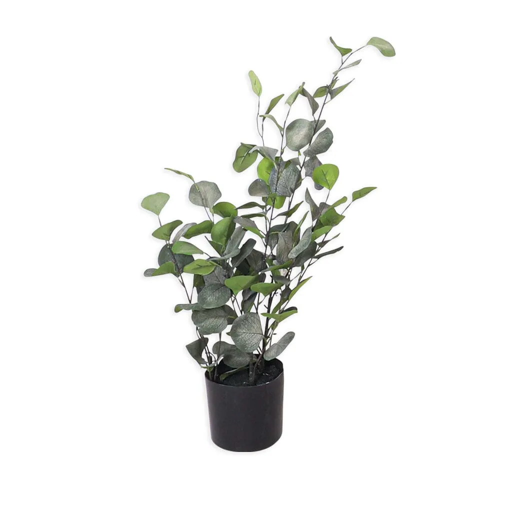 Faux Eucalyptus Plant