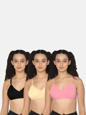 Naidu Hall Knitwear-Bra Special Combo Pack - Pretti - C67