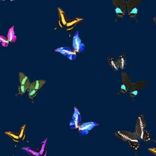 Twill Pant in Midnight Butterflies